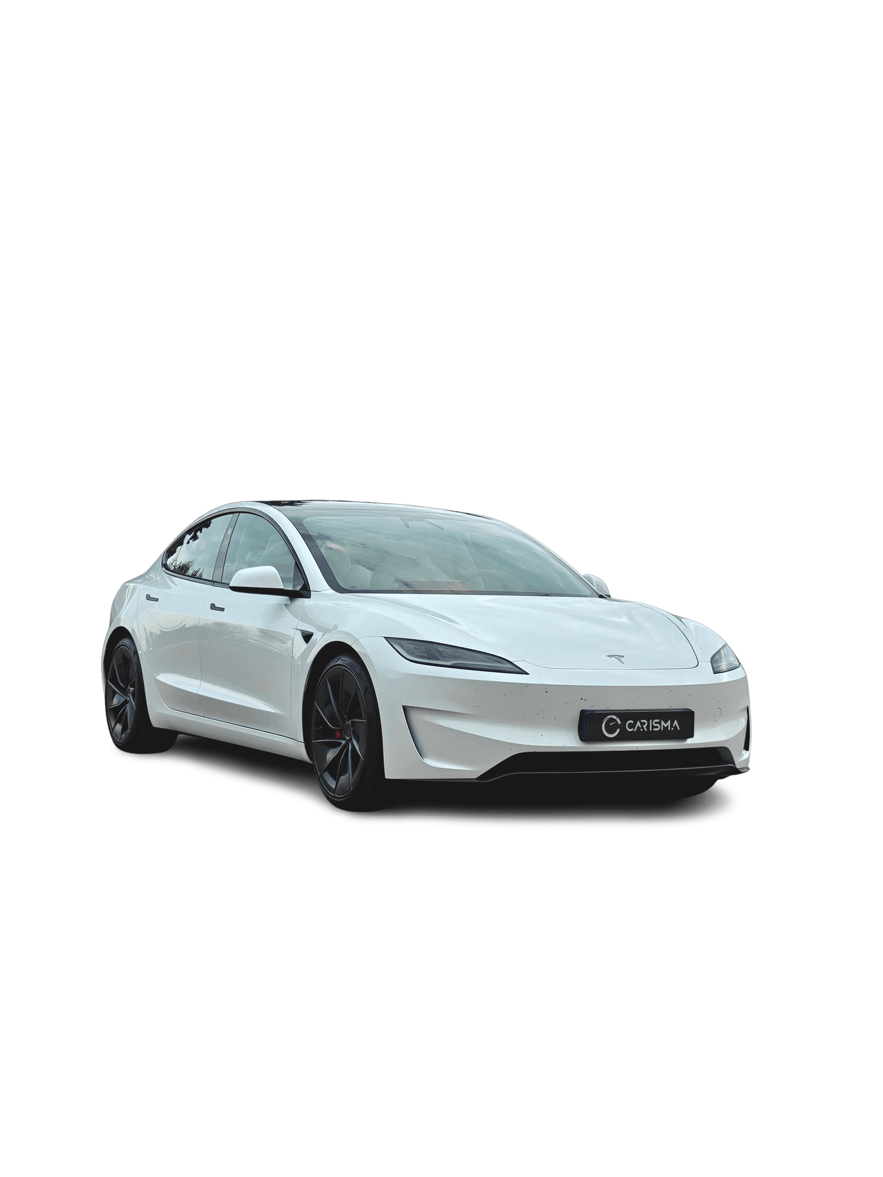 Tesla Model 3 Performance